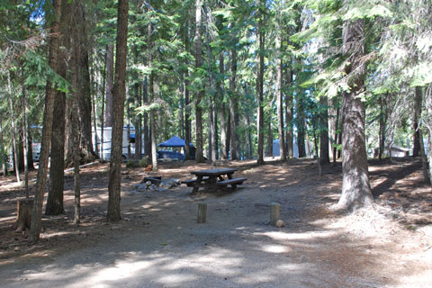 Cultus Lake Campground