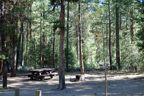 Gull Point Campground, Wickiup Reservoir, OR