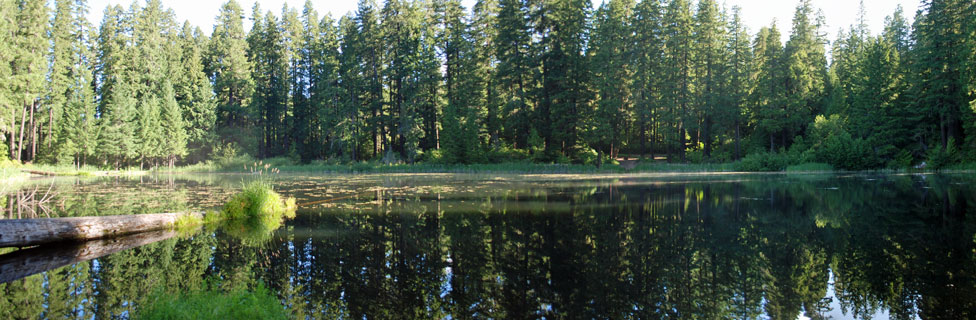 Lake in the Woods, Umpqua National Forest, Oregon