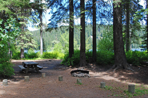 Trapper Creek Campground, Odell Lake