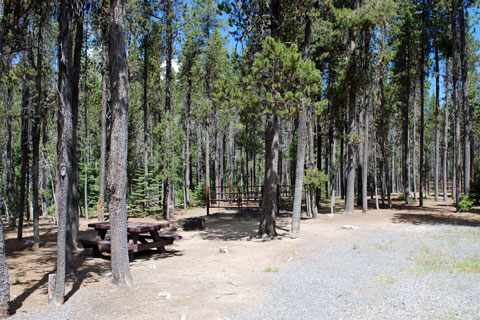 Whitefish Horse Camp