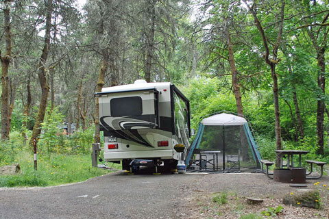 Ainsworth  State Park Campground, Multnomah County, Oregon