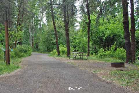 Ainsworth  State Park Campground, Multnomah County, Oregon