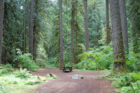Camp Creek Campground, Mount Hood National Forest, Oregon
