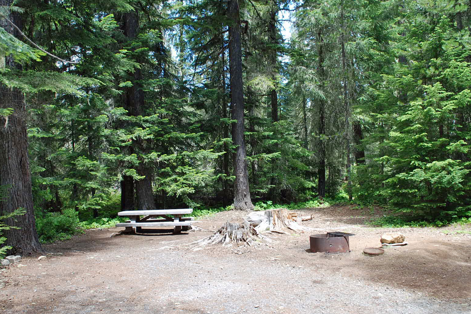 Clackamas Lake Campground, Mount Hood National Forest, Oregon