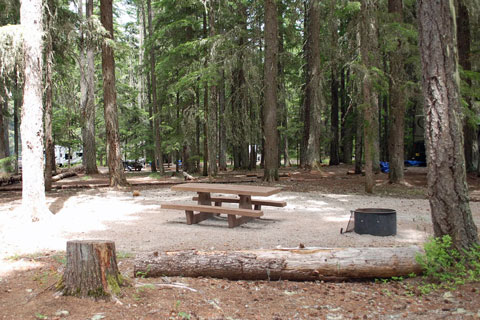 Oak Fork Campground, Timothy Lake, Mount Hood National Forest, Oregon