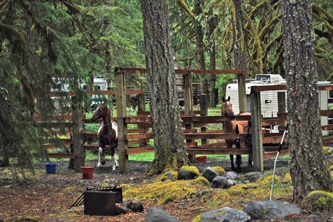 Riley Horse Camp, Mount Hood National Forest, Oregon