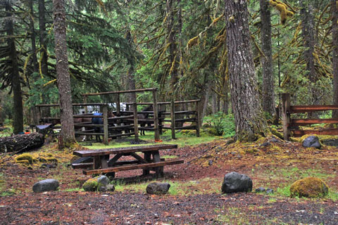 Riley Horse Camp, Mount Hood National Forest, Oregon