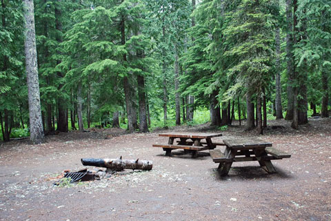 Still Creek Campground, Mount Hood National Forest, Oregon
