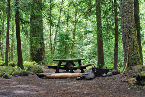 Tollgate Campground, Mount Hood National Forest, Oregon