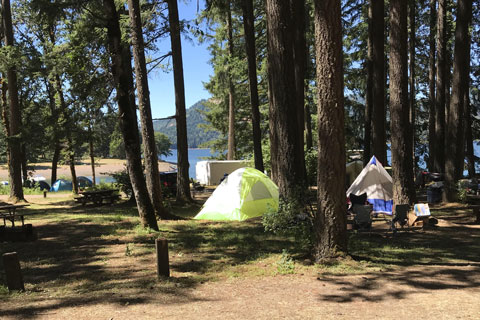 Baker Bay Campground, Dorena Lake, Oregon