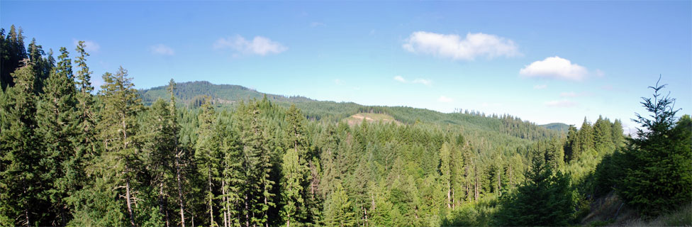 forest, Oregon
