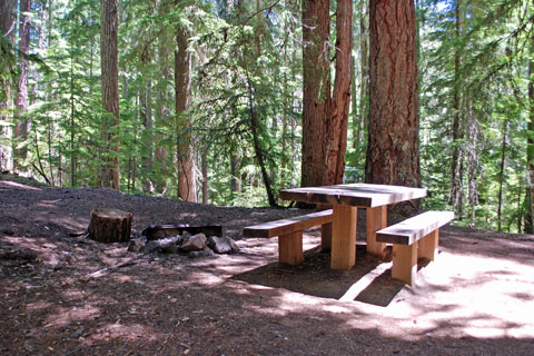 Clearwater Falls Campground, Umpqua National Forest, Oregon