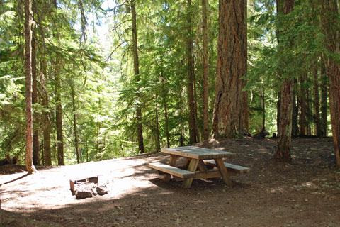 Clearwater Falls Campground, Umpqua National Forest, Oregon