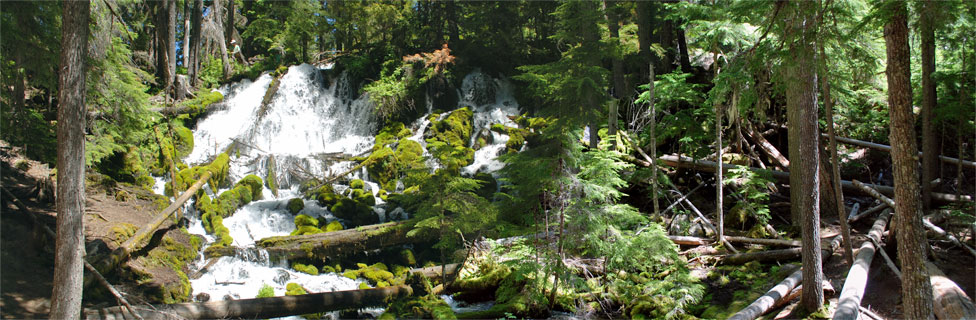 Clearwater 
 Falls, Umpqua National Forest, Oregon