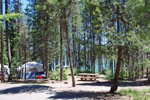Poole Creek Campground, Lemolo Lake, Oregon