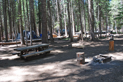 Thielsen View Campground, Diamond Lake, Oregon