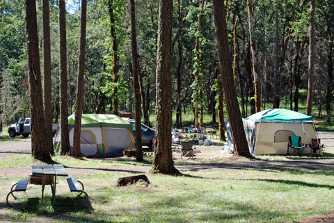 Whistler's Bend County Park Campgound, Douglas County, Oregon