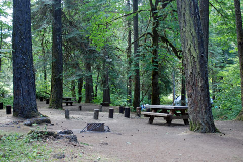 Wolf Creek Campground, Umpqua National Forest, Oregon