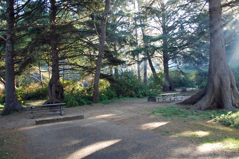 Beverly Beach State Park Group Campsite, Oregon