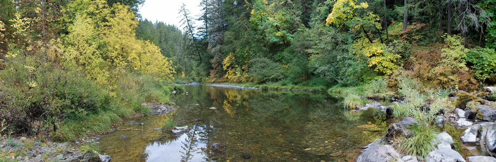 Boulder Creek, Umpqua National Forest, Oregon
