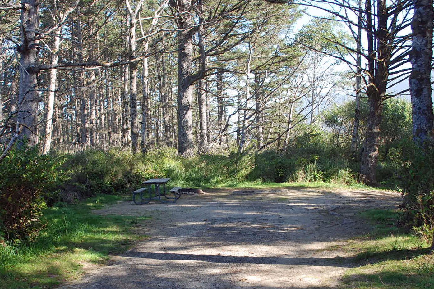 Cape Lookout State Park Campground, Tillamook County, Oregon
