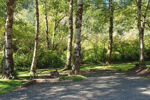 Kilchis River County Campground, Tillamook County, Oregon