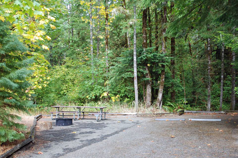 Lone Pine Group Campground, Rock Creek, Oregon