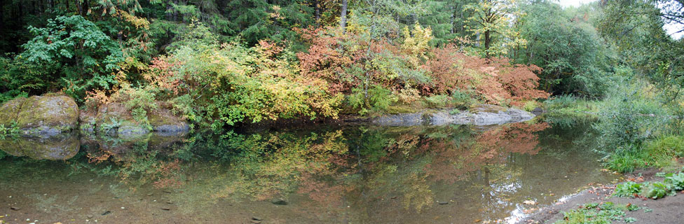 Rock Creek, Millpond Recreation Area Campground, Rock Creek, Oregon