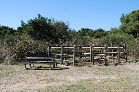 Nehalem Bay State Park Campground Horse Camp, Tillamook County, Oregon