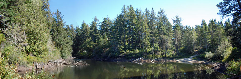 Alder Lake, Siuslaw National Forest, Oregon