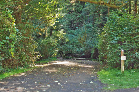 Cape Perpetua Campground, Siuslaw National Forest, Oregon