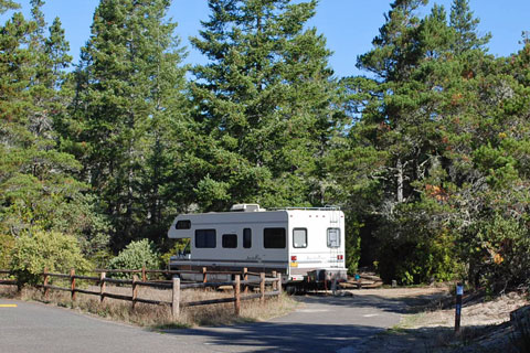Eel Creek Campground, Coos County, Oregon