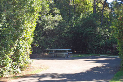 Harbor Vista County Park and Campground, Lane County, Oregon