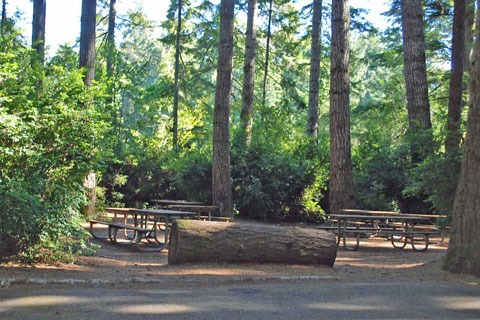 Jessie M. Honeyman Memorial State Park Campground, Lane County, Oregon