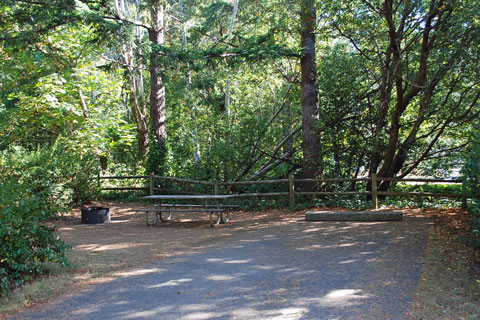 Humbug Mountain State Park Campground, Curry County, Oregon