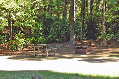 Sutton Campground, Siuslaw National Forest, Oregon