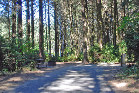 Cape Blanco State Park Campground, Curry County, Oregon