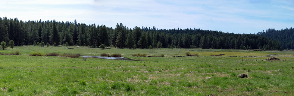 Lily Glen Equestrian Campground, Howard Prairie Lake, Jackson County, Oregon
