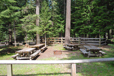Big Meadows Horse Camp group site, Willamette National Forest, Oregon