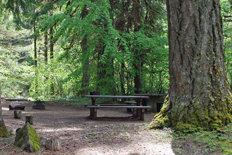 Breitenbush Campground, Willamette National Forest, Oregon