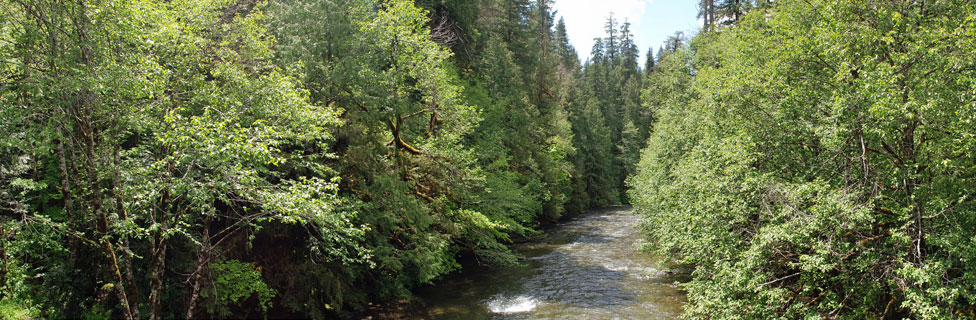 Breitenbush River, Willamette National Forest, Oregon