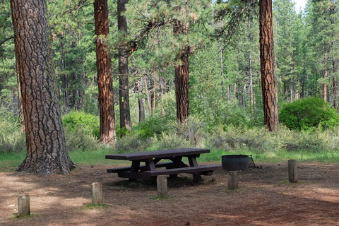 Camp Sherman Campground, Deschutes National Forest, Oregon
