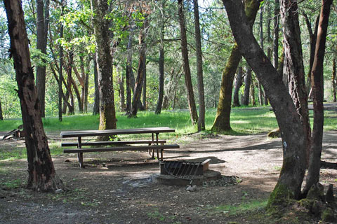 Cantrall Buckley County Park Campground, Jackson County, Oregon