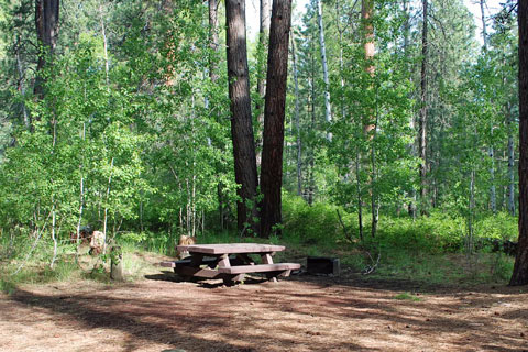 Cold Springs Campground, Deschutes National Forest, Oregon