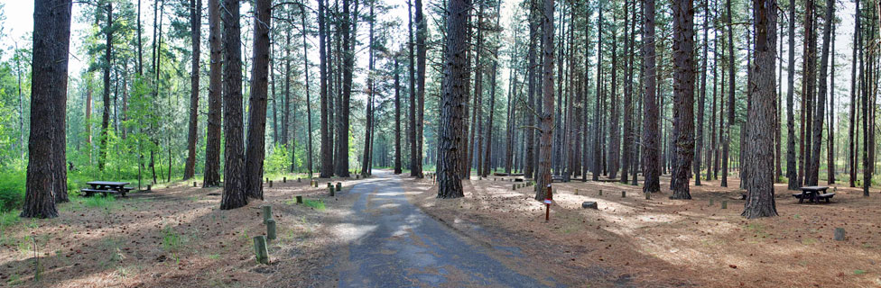 Cold Springs, Deschsutes National Forest, Oregon