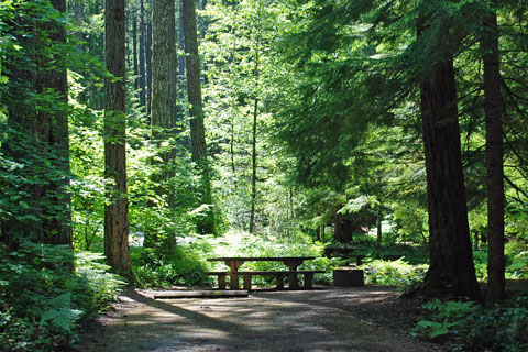 Cove Creek Campground, Detroit Lake, Willamette National Forest, Oregon