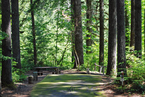 Hoover Campground, Detroit Lake, Willamette National Forest, Oregon