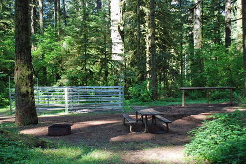 Howard Creek Horse Camp,  Oregon