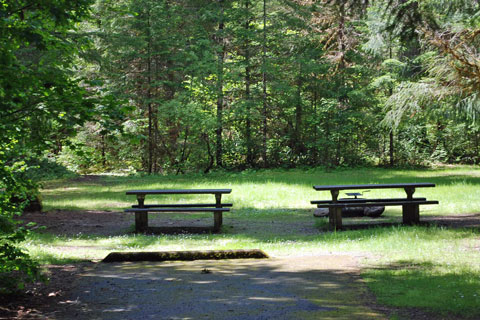 Humbug Campground, Willamette National Forest, Oregon